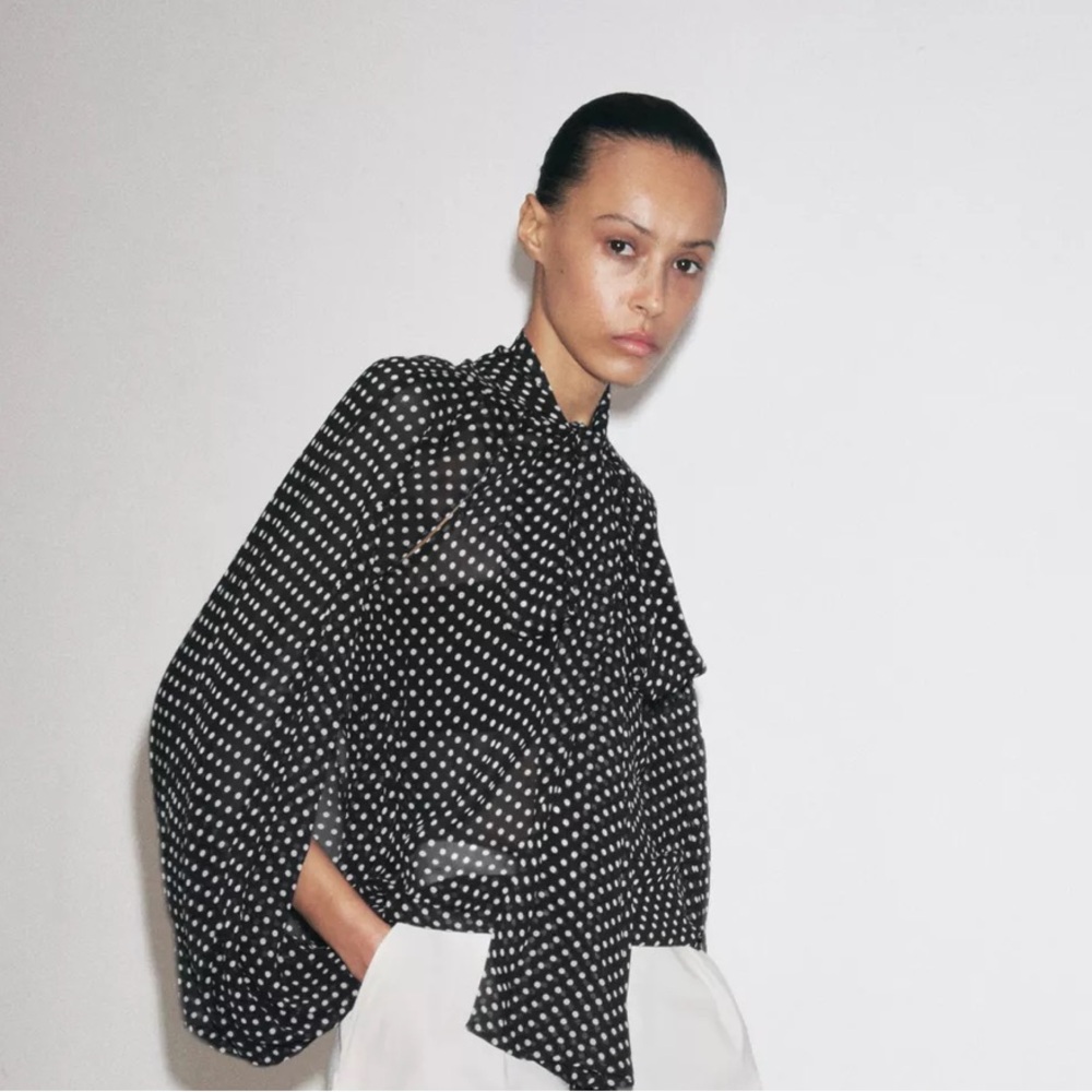 Zara Black and White Polka Dot Sheer Blouse